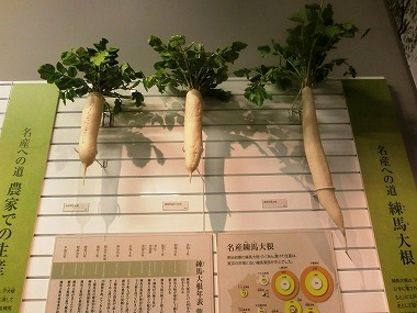 練馬大根③(江戸野菜 江戸の食文化)_c0187004_9124459.jpg