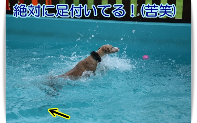 e0100007_15515438.jpg