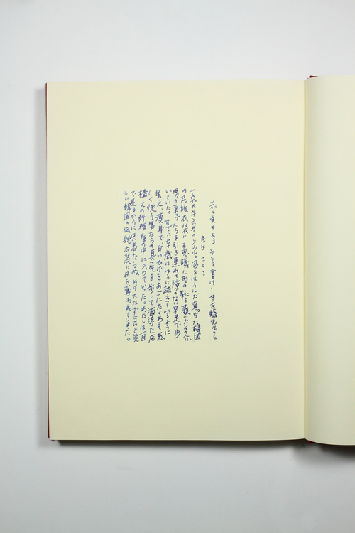 私家版『虹を生む人』_f0155808_10361271.jpg