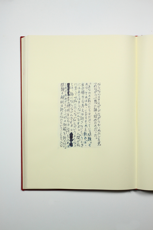 私家版『虹を生む人』_f0155808_10383298.jpg