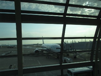 3連休前、週末金曜日につき・・・↑↑_d0091909_17171271.jpg