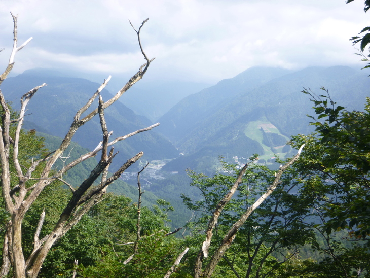 d0170615_7544169.jpg