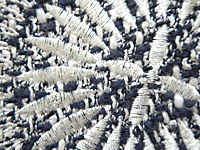 d0117518_23401491.jpg