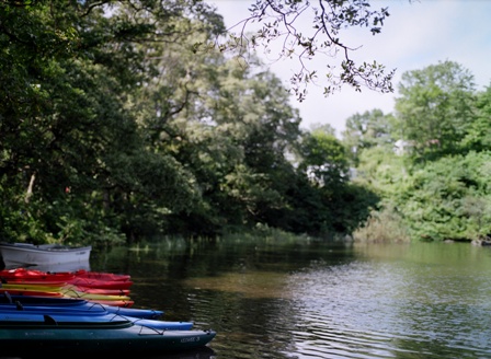 c0140723_2272524.jpg
