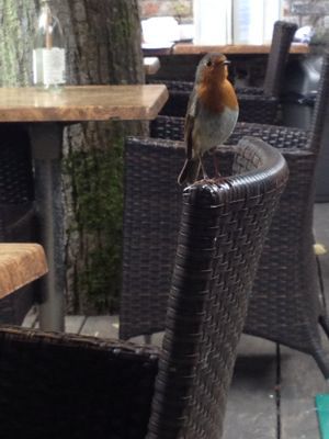 2014秋のイギリス紀行 その1_f0095325_0203360.jpg