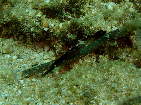 b0100730_21281431.jpg