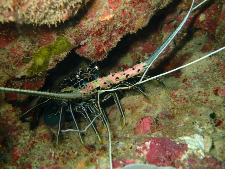 b0100730_21343144.jpg
