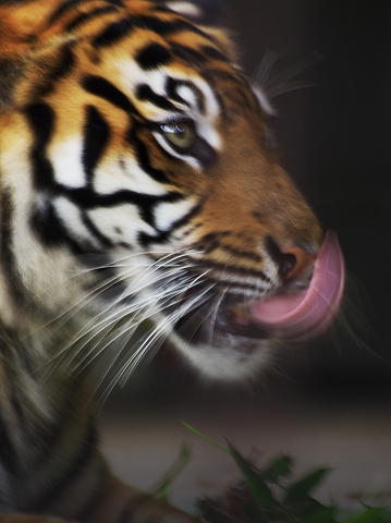 動物園_c0077531_17392821.jpg