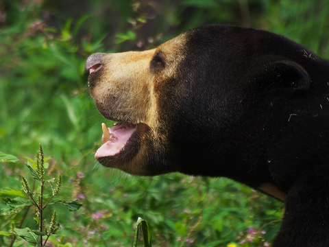 動物園_c0077531_174931.jpg