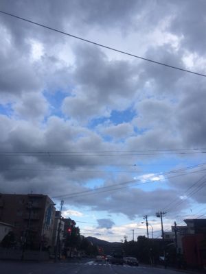 e0069433_2154264.jpg
