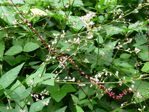 b0298935_22393682.jpg
