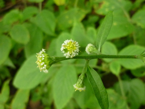 b0298935_2240505.jpg