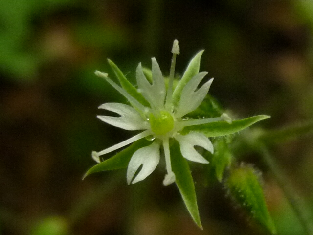 b0298935_22421126.jpg