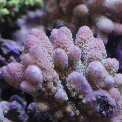 d0221436_225329100.jpg