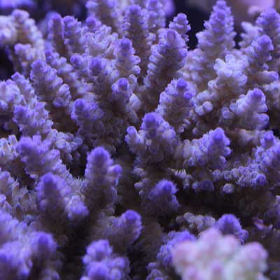 d0221436_22551782.jpg
