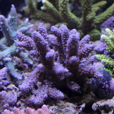 d0221436_22573933.jpg