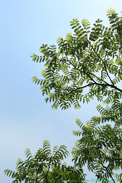 c0244037_223099.jpg