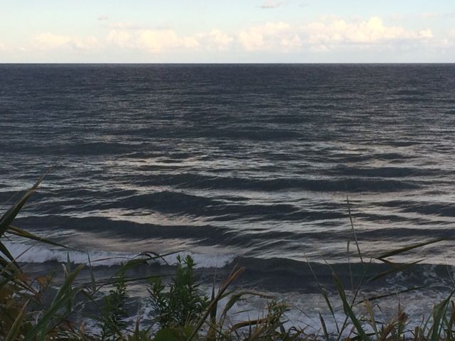 c0254151_18475269.jpg