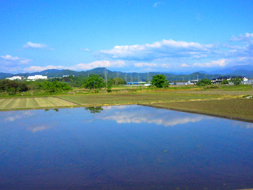 c0039153_1762941.jpg
