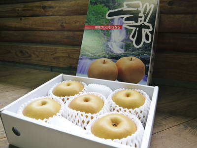 熊本梨 岩永農園 梨のサラブレッド「あきづき」新登場!&ジャンボ梨「新高」まもなく初出荷!!_a0254656_1742753.jpg