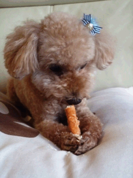 e0141159_13284186.gif