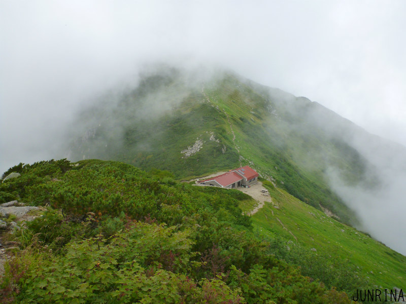 d0110562_08285845.jpg