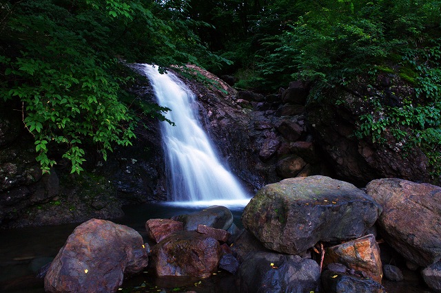 c0324983_22073990.jpg