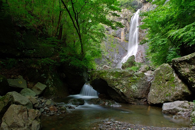 c0324983_22095120.jpg