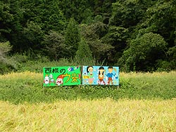 9月12日の田んぼ(月光原小・西根小)_d0247484_1685669.jpg