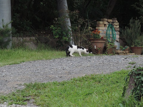 高根町Y田さん邸の現場より 6_a0211886_0461057.jpg