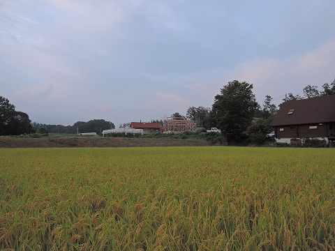 高根町Y田さん邸の現場より 6_a0211886_048285.jpg