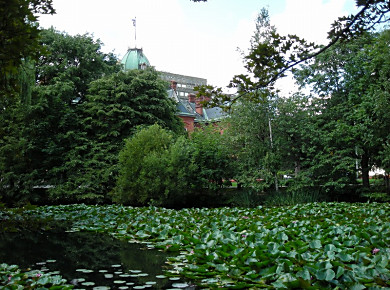 f0078286_1285286.jpg