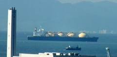b0192588_1041442.jpg