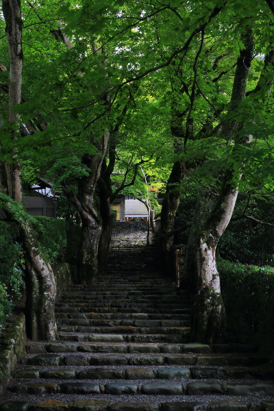 寂光院_e0051888_4282049.jpg