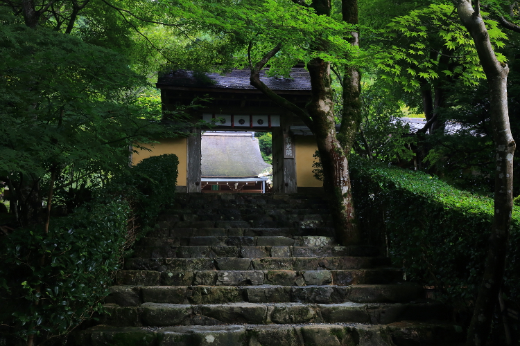 寂光院_e0051888_4284875.jpg