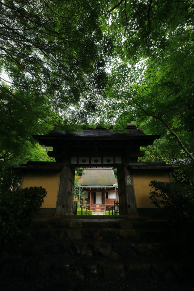 寂光院_e0051888_4291027.jpg
