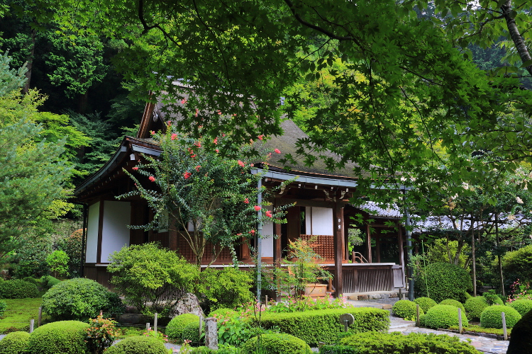 寂光院_e0051888_4311915.jpg