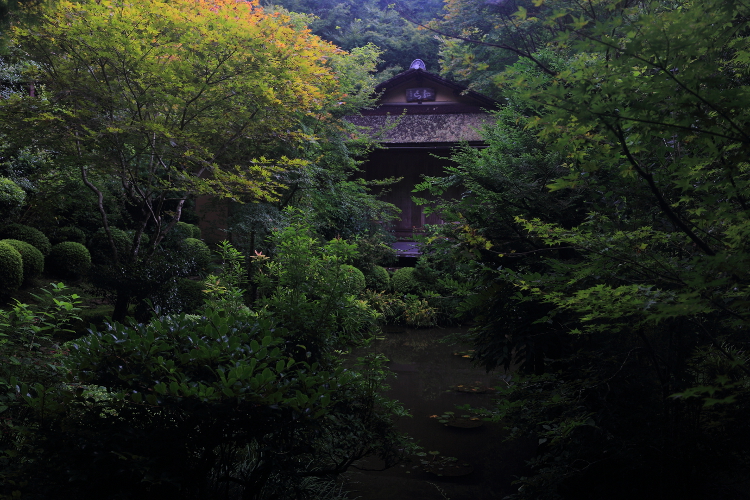 寂光院_e0051888_4313531.jpg