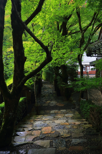 寂光院_e0051888_431526.jpg