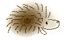 d0146792_9285120.gif