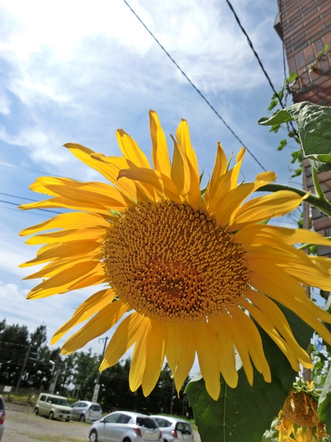 d0004301_2241736.jpg