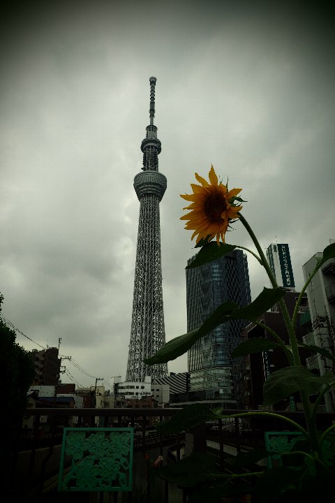 a0268412_22251640.jpg