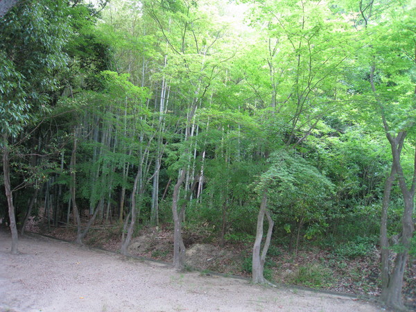 惣社神社（伊川谷惣社　いかわだにそうしゃ、神戸市西区）_d0287413_092588.jpg