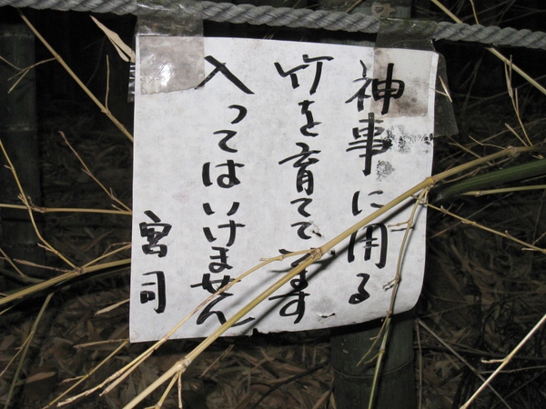 d0287413_094926.jpg