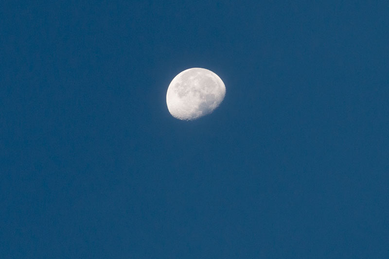 a0278914_2184038.jpg