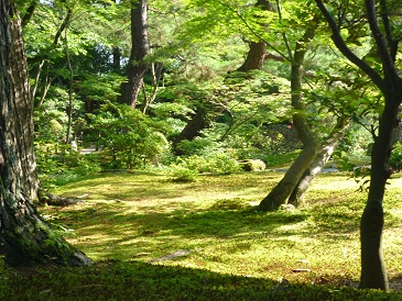 e0135219_11251024.jpg