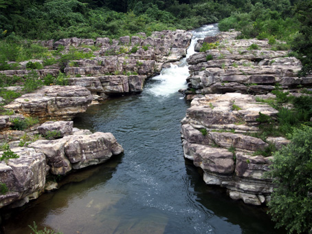 福島いろいろ_d0062721_6503287.jpg