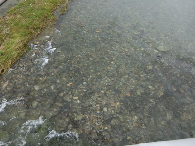 a0188023_76191.jpg