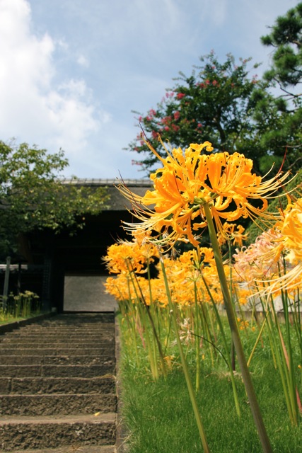 f0348831_1253302.jpg