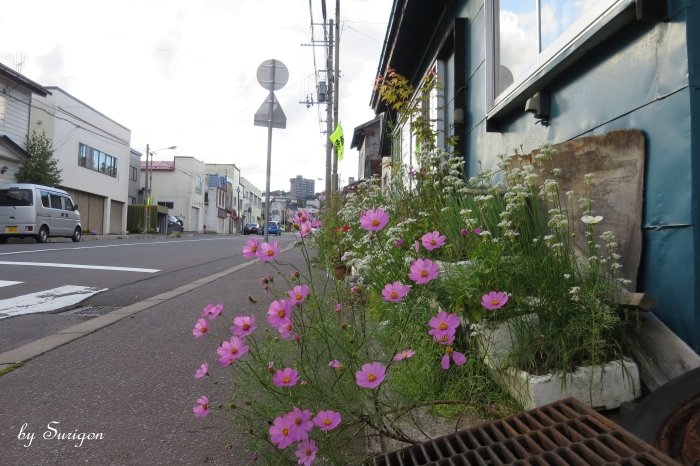 小樽散歩６　(2014年9月7日）_b0232741_0627100.jpg